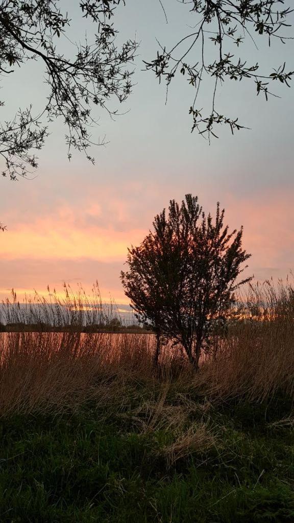 Ferienwohnung Ostfriesenglueck Leer Bagian luar foto